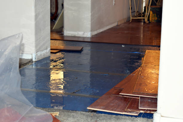 Professional Burst Pipe Water Damage technician working in Wellesley, MA
